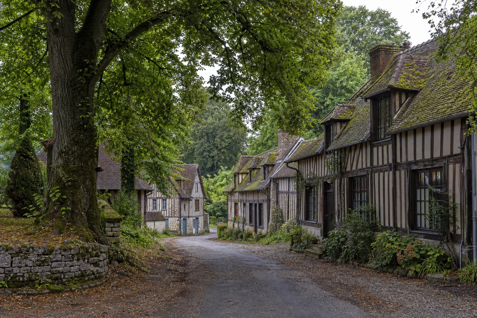 Rues de Lyons-la-Forêt sous les arbres