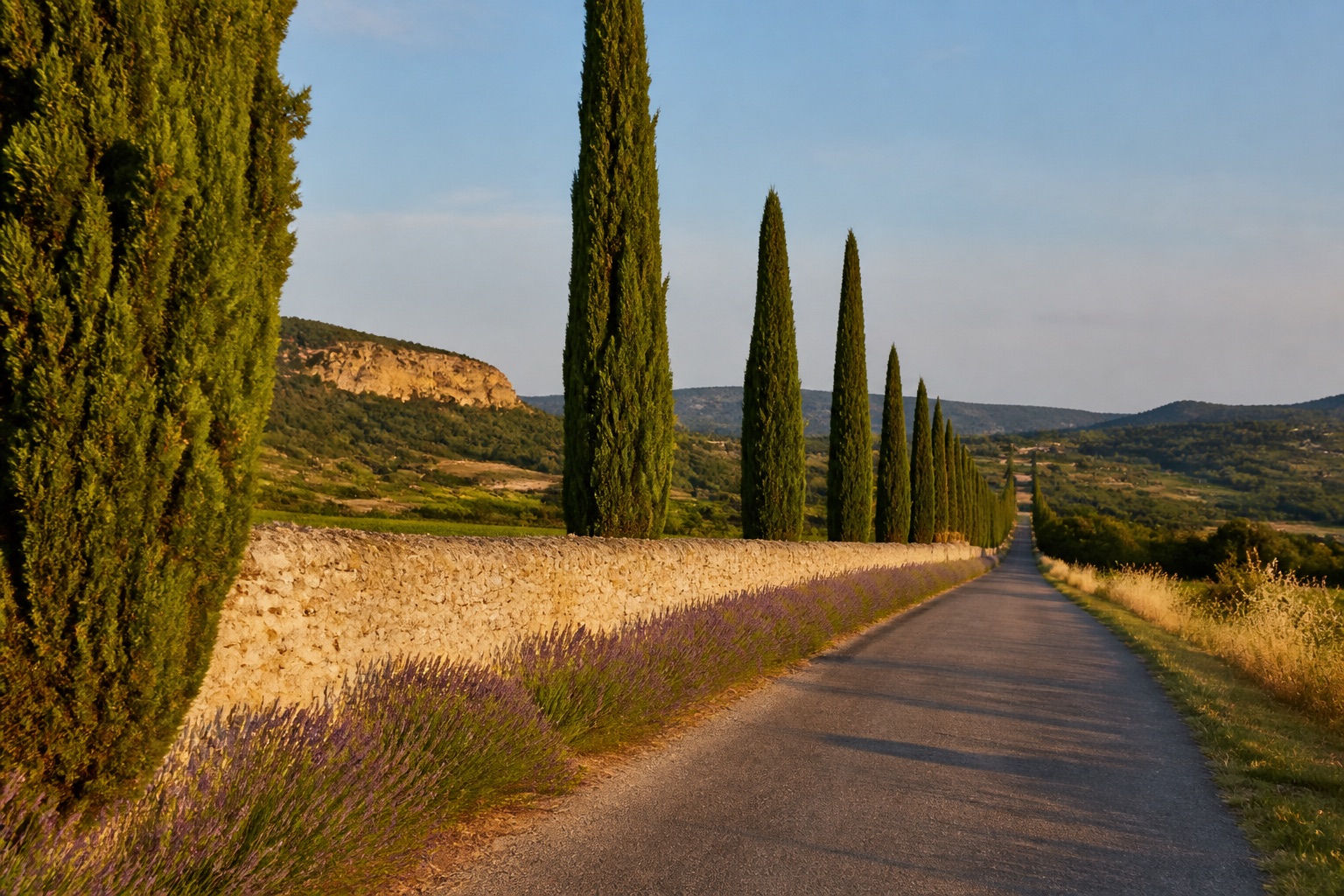 Route de cyprès et lavande dans le Luberon