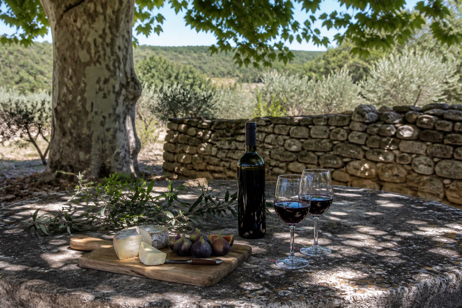 Table de vin, fromages et figues à l'ombre
